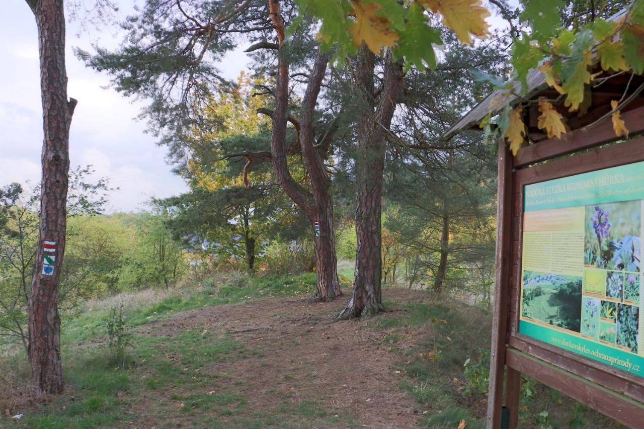 Komorni Hurka 헤프 외부 사진